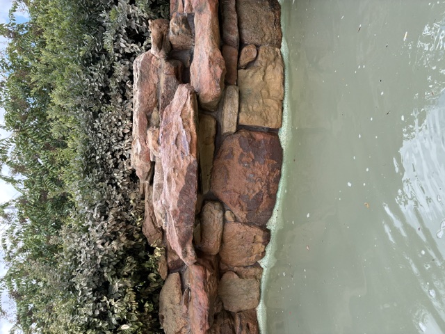 After: Irregular stone courses form a poolside retaining wall below dense greenery.