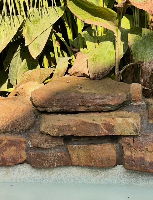 After: Rough tan stone courses sit beneath tropical leaves above pool water.